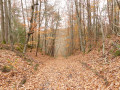 Dordives - Paucourt par le GR®13 Dordives - Paucourt par le GR®13