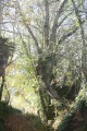 Le Sentier de l'Écornerie Le Sentier de l'Écornerie
