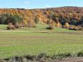 Boucle de Quingey par Cessey et la ferme des routes Boucle de Quingey par Cessey et la ferme des routes