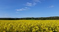 Autour d'Autouillet Autour d'Autouillet