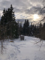 Bois d'Amont vers Chalet Gaillard (proche Roche Bernard) Bois d'Amont vers Chalet Gaillard (proche Roche Bernard)