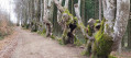 Boucle autour de Saint-Nicolas-des-Biefs Boucle autour de Saint-Nicolas-des-Biefs