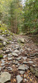 Forêt du Mont Gerbizon