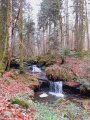Cascade, tapis de mousse et sculpture insolite à la Gorge le Loup Cascade, tapis de mousse et sculpture insolite à la Gorge le Loup