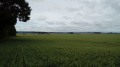 Boucle de Villiers-le-Mahieu Boucle de Villiers-le-Mahieu