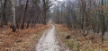 D'Achères à Saint-Germain-en-Laye à travers la forêt D'Achères à Saint-Germain-en-Laye à travers la forêt