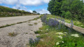 Le Col du pré la Dame en boucle depuis Villefort Le Col du pré la Dame en boucle depuis Villefort