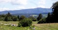 Le Grand Taureau Le Grand Taureau