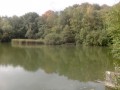 La Forêt des Flambertins et l'Etang d'Abbecourt La Forêt des Flambertins et l'Etang d'Abbecourt
