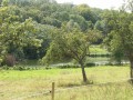 Dans la Forêt des Moines Dans la Forêt des Moines