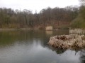 Au Bois de Clamart et au Bois de Meudon Au Bois de Clamart et au Bois de Meudon
