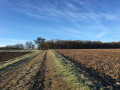 La Forêt de Vauchassis par La Halte La Forêt de Vauchassis par La Halte