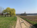 Autour de l'Oberholz Autour de l'Oberholz