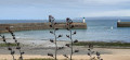Entre campagne normande et mer à partir de Diélette