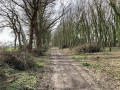 Circuit du chemin de la Patouille par le hameau des Fermes à Bréhand