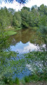 Petit tour en forêt à Rilly-la-Montagne Petit tour en forêt à Rilly-la-Montagne