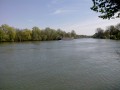 Le long de l'Oise entre Jouy-le-Moutier et Vauréal Le long de l'Oise entre Jouy-le-Moutier et Vauréal