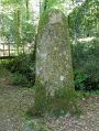 Dans la Forêt Domaniale de Villecartier Dans la Forêt Domaniale de Villecartier