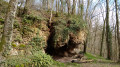 De Moussy à Saint-Martin d'Ablois, Brugny Vaudancourt et Chavot De Moussy à Saint-Martin d'Ablois, Brugny Vaudancourt et Chavot
