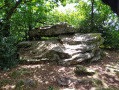 La Forêt de Grande Charnie La Forêt de Grande Charnie