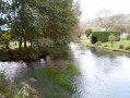Les étangs et la forêt de Saint-Hellier Les étangs et la forêt de Saint-Hellier