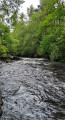 Le Bois de Chaleix à Bugeat Le Bois de Chaleix à Bugeat