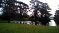 Du Parc de Saint-Cloud au Bois de Boulogne Du Parc de Saint-Cloud au Bois de Boulogne