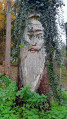 Petit tour du Brestenberg par champs et forêts Petit tour du Brestenberg par champs et forêts
