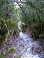 Le ravin de l'Ourminière Le ravin de l'Ourminière