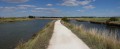 Le marais des Olonnes Le marais des Olonnes