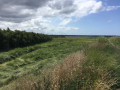 Le marais et polders de Beaussais-sur-Mer Le marais et polders de Beaussais-sur-Mer