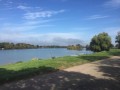 Sur la Saône entre Allériot et Bougerot
