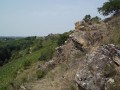 Le Layon, ses vignes et la Réserve des Coteaux du Pont-Barré Le Layon, ses vignes et la Réserve des Coteaux du Pont-Barré