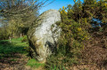 Menhirs du Mené Menhirs du Mené