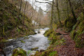 Ness Glen, Loch Doon Ness Glen, Loch Doon