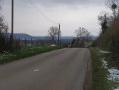 Le Grand Bois entre Courcelles et Cessey Le Grand Bois entre Courcelles et Cessey