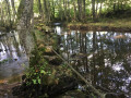 De Lacapelle-Barrès à Malbo et retour, autour de la vallée du Siniq