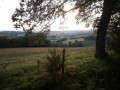 Bois de la Garde et celui de Pionsat