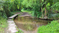 Balade forestière et médiévale du Claireau Balade forestière et médiévale du Claireau