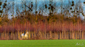 Entre Senlisse et Choisel Entre Senlisse et Choisel