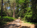La forêt de nos ancêtres La forêt de nos ancêtres