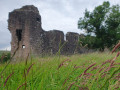 Remains of Morton Castle and Morton Loch Remains of Morton Castle and Morton Loch
