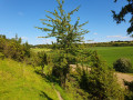L'Authie, le ravin et la lande L'Authie, le ravin et la lande