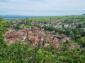 Châtenois - Ribeauvillé Châtenois - Ribeauvillé