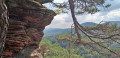 Points de vue et formations rocheuses du Wasgau Points de vue et formations rocheuses du Wasgau