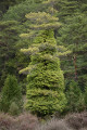 Le Vallon d'Agnis Le Vallon d'Agnis