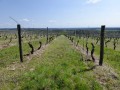 la Pâturie, le Prélot et le sentier des "Pierres sèches" à Champlitte