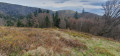 Sensations alpines au cœur des Vosges Sensations alpines au cœur des Vosges
