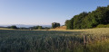 Chemin des Vignes depuis Crussac Chemin des Vignes depuis Crussac