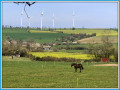 Sentier de la Chapelle Notre-Dame de Bon-Secours depuis Villepail Sentier de la Chapelle Notre-Dame de Bon-Secours depuis Villepail